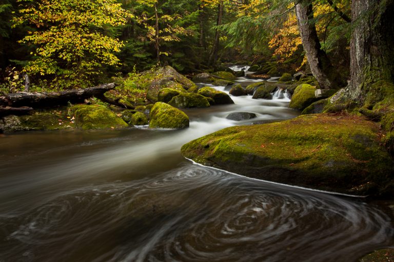 Nature and Landscape Photography Workshops | Green Mountain