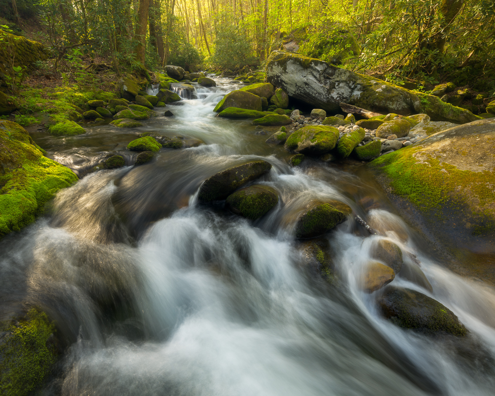 Stream in the Smoky Mountains