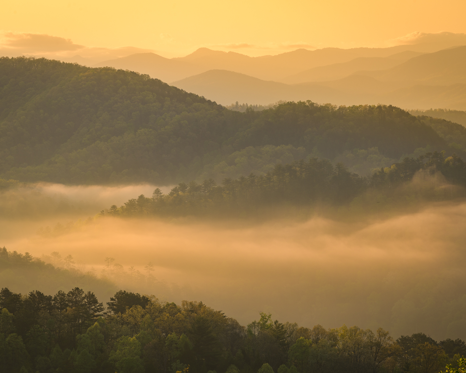 Smoky Mountains Spring Sunrise